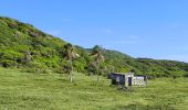 Tour Wandern Capesterre-de-Marie-Galante - Guadeloupe - Marie Galante - Les Galeries - Photo 9