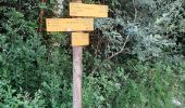 Trail Walking Doucier - Doucier 20220804 - Photo 3