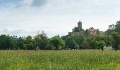 Tocht Te voet Schönburg - Geopfad Schönburg - Photo 10