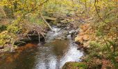 Tocht Stappen Huelgoat - Forêt Huelgoat - Photo 11