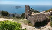 Trail Walking Marseille - Marseilleveyre-sommet-1105-22 - Photo 10