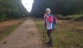 Tocht Noords wandelen Petit-Couronne - course en forêt du rouvray - Photo 3