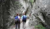 Trail Walking Cheval-Blanc - Wikiloc - Etroit et tellement de cigales - Photo 4