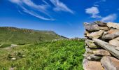 Tour Wandern Sare - La Rhune an A/R depuis le col de St Ignace - Photo 6