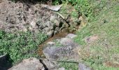 Tour Wandern Le Lorrain - Boucle Dorival - Cledelin - Carabin - Vallon - Photo 11