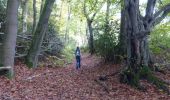 Tocht Te voet Oudsbergen - Bosbeekvallei Rode vierkant - Photo 3