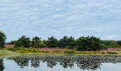 Percorso Marcia Zonhoven - de-wijers-de-teut-instapplaats-donderslagseweg-blauw - Photo 6