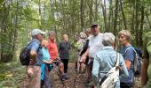 Trail Walking Rochefort - Han-sÃ»r-Lesse - Photo 9