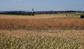 Tocht Te voet Berngau - Berngauer Nordschlaufe - Photo 6