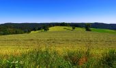 Tour Zu Fuß Grafenhausen - Rappenfelsensteig - Photo 6