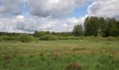 Excursión A pie Dieburg - Geo-Lehrpfad Dieburg : Natur- und historischer Wanderweg - Photo 1