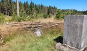 Tour Wandern Vielsalm - Logbiermé /”point satellite ” - Photo 4