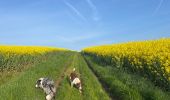 Trail Walking Aix-en-Issart - Sentier du paradis - Photo 20