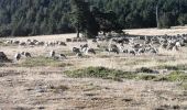 Trail Walking Beaumont-du-Ventoux - ventoux par les cretes - Photo 1