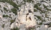 Tour Wandern Cassis - Plan olive - Photo 11