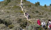 Excursión Senderismo Aureille - PF-Aureille - La Vallongue d'Aureille - MDu - Photo 19