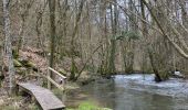 Tour Wandern Paliseul - Maissin, la Lesse 4 - Photo 15