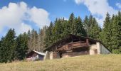 Trail Running Demi-Quartier - Chalet de la vieille  - Photo 2