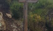 Randonnée Marche Lucéram - Col de Porte Col de L’Autaret - Photo 8