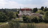 Trail Walking Courthézon - courthezon le lac sale  - Photo 2