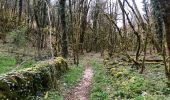 Trail Mountain bike Caylus - VTT Caylus 37km 700D+ - Photo 2
