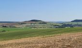 Tocht Stappen Bouxières-aux-Chênes - bouxieres aux chênes - Blanzey - Photo 10