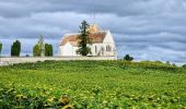 Tour Zu Fuß Moret-Loing-et-Orvanne - La basse vallée du Lunain version 30 km - Photo 10