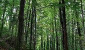 Tour Zu Fuß Montcherand - Chemin nature pour tous - Photo 4