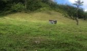 Trail Nordic walking Sainte-Anne - Belle mare - Photo 2