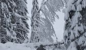 Randonnée Raquettes à neige La Pesse - Ambossieux /La Pesse par tire fesse  - Photo 1