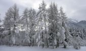 Trail On foot Toblach - Dobbiaco - IT-7 - Photo 4