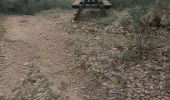 Trail Walking Flayosc - reconnaissance berne circuit jaune  - Photo 4