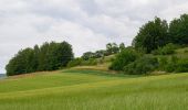 Percorso A piedi Beverungen - Weserhöhen-Wanderung 