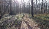 Trail Walking Prugny - Prugny 19km le 20.02.2023 - Photo 1