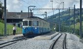 Percorso A piedi Zweisimmen - Eggweid Mittelstation - Oeschseite - Photo 3