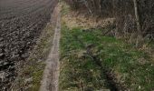 Tocht Stappen Lobbes - Mont Sainte Geneviève  - Photo 3