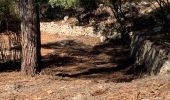 Randonnée Marche Cuges-les-Pins - Cuges le tour des jas  - Photo 18