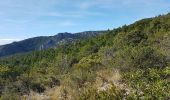 Tocht Stappen Saint-Guilhem-le-Désert - Saint Guilhem L'Ermitage ND de la Grâce - Photo 16