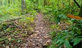 Trail Walking Vendôme - Petit parcours dans la partie Sud-est du Bois de l'Oratoire - Photo 8