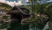 Tour Zu Fuß Ebensee am Traunsee - Wanderweg 421 - Photo 4