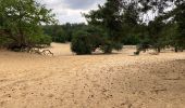 Randonnée Marche Maaseik - Gruitroderbos -  dunes - Photo 18