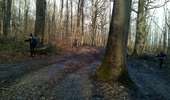 Randonnée Marche Viroflay - La grande traversée des forêts des Hauts de Seine - Photo 10