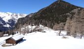 Tocht Te voet Trient - Sentier des Alpages - Photo 4