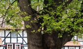 Tour Zu Fuß Neuenstein - Wanderweg Neuenstein (N1) - Photo 1