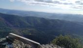 Trail Walking Cuers - Barres de Cuers et piton Clément  - Photo 1