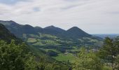 Tocht Te voet Flintsbach am Inn - Wanderweg 10 - Brannenburg - Photo 10