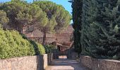 Trail Walking Prades - codalet . coll de Clara . abbaye St Michel de Cuxa . canal bohère - Photo 7