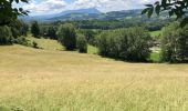 Randonnée Marche Viuz-la-Chiésaz - Circuit de Viuz La Chiesaz - Photo 5