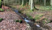 Randonnée Marche Tenneville - Champlon-forêt  - Photo 5