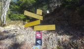 Tour Schneeschuhwandern Hauteluce - Col des Saisies - Croix de la Coste - Signal de Bisanne - Photo 4